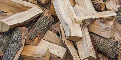 The Branch Office Tree Service - Libertyville - Emergency Tree Services